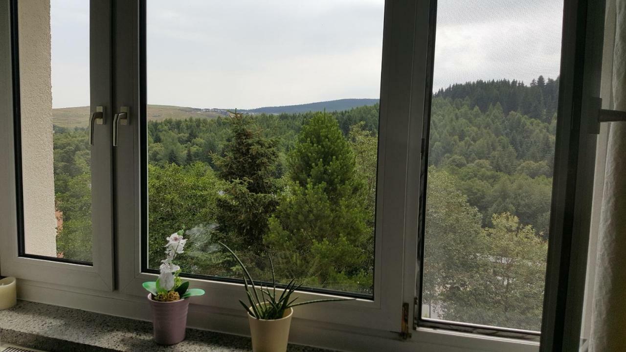 Bergblick Apartment Oberwiesenthal